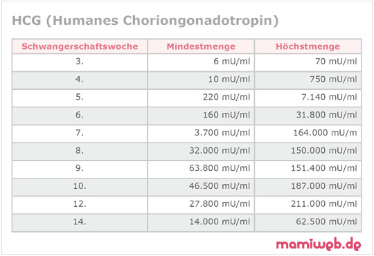 Hcg Tabelle Urin
 Humanes Chroiongonadotropin Hormon HCG Mamiweb