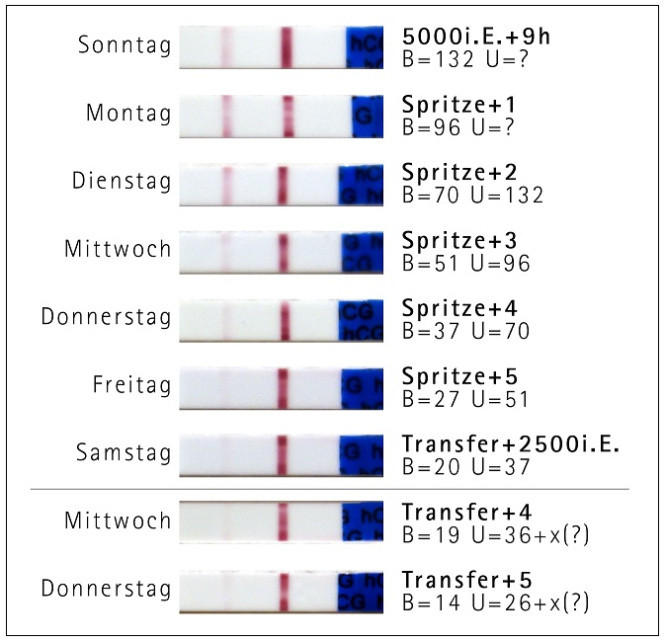 Hcg Tabelle Urin
 Testen Testen – goldtopf