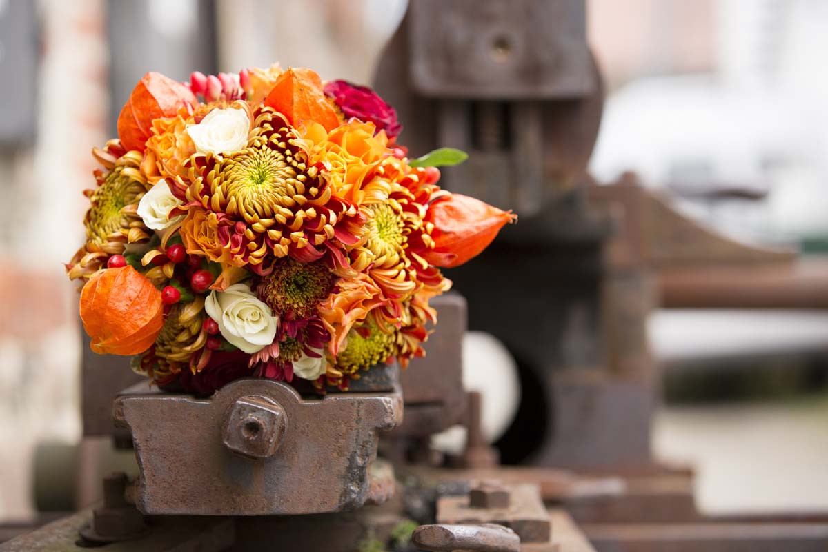 Herbst Hochzeit
 Heiraten im Herbst Hochzeitsplanerin im Interview