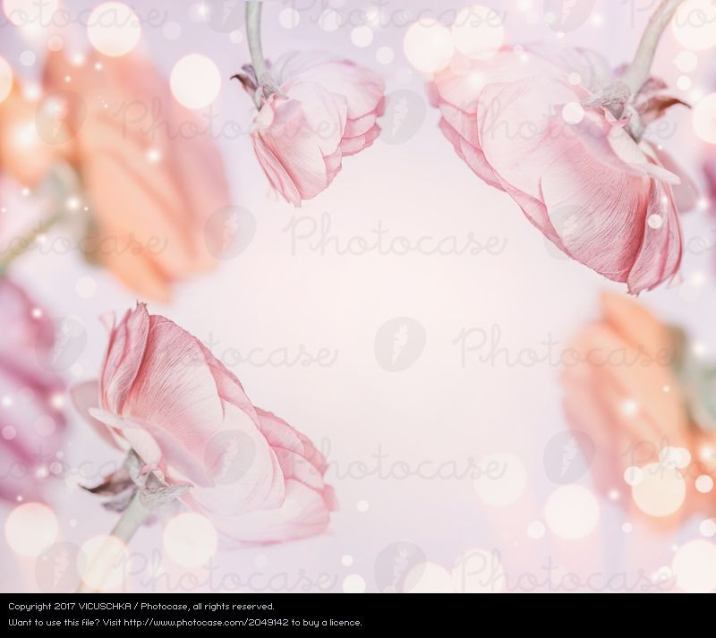 Hintergrundbild Hochzeit
 Pastell rosa Blumen Hintergrund ein lizenzfreies Stock