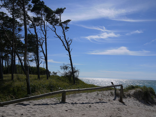 Hochzeit An Der Ostsee
 Hochzeit Fischland Darß Zingst Ostsee Hochzeitsportal