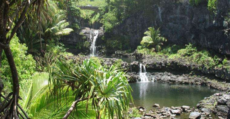 Hochzeit Auf Hawaii
 Hochzeit auf Maui Hawaii Exit Reisen