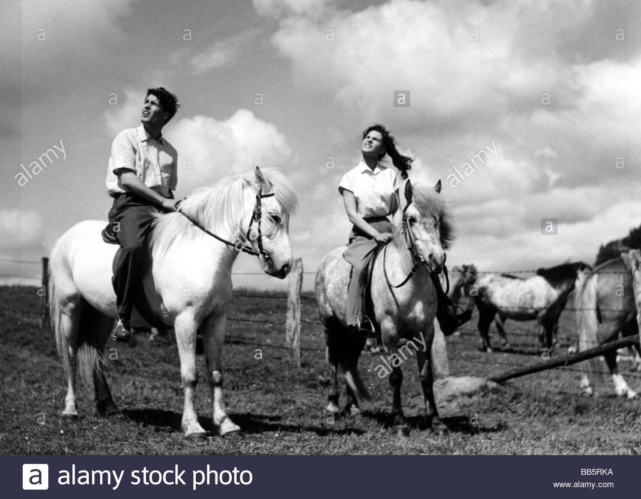 Hochzeit Auf Immenhof
 movie "Hochzeit auf Immenhof" DEU 1956 director Volker