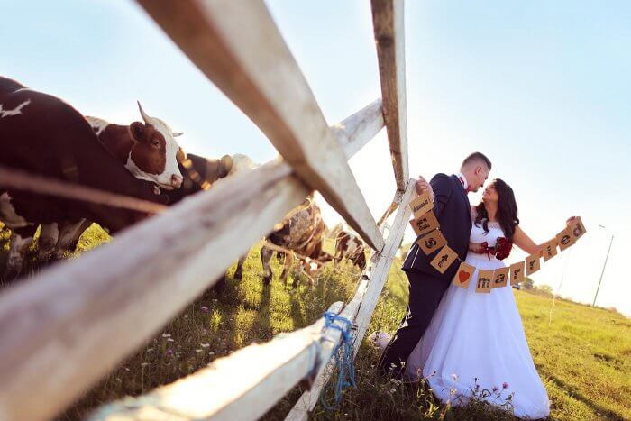 Hochzeit Bauernhof
 Hochzeit auf dem Bauernhof