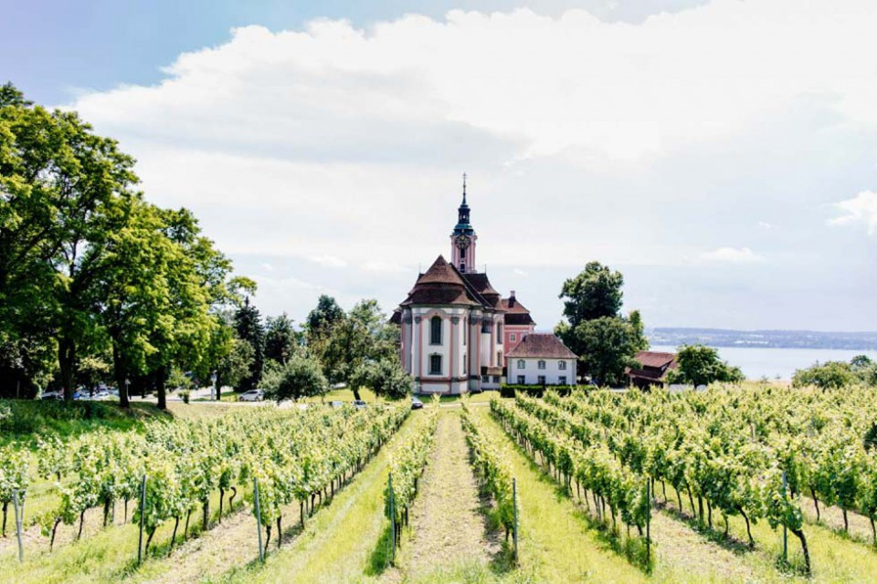 Hochzeit Bodensee
 Hochzeit in den Weinbergen am Bodensee Hochzeitswahn