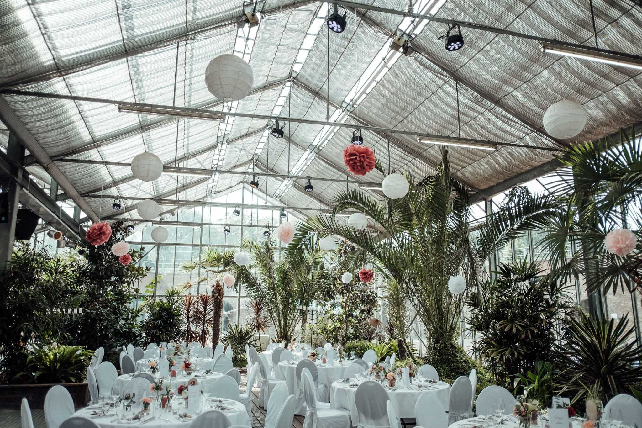 Hochzeit Gewächshaus
 außergewöhnliche Hochzeitslocation in NRW umringt von