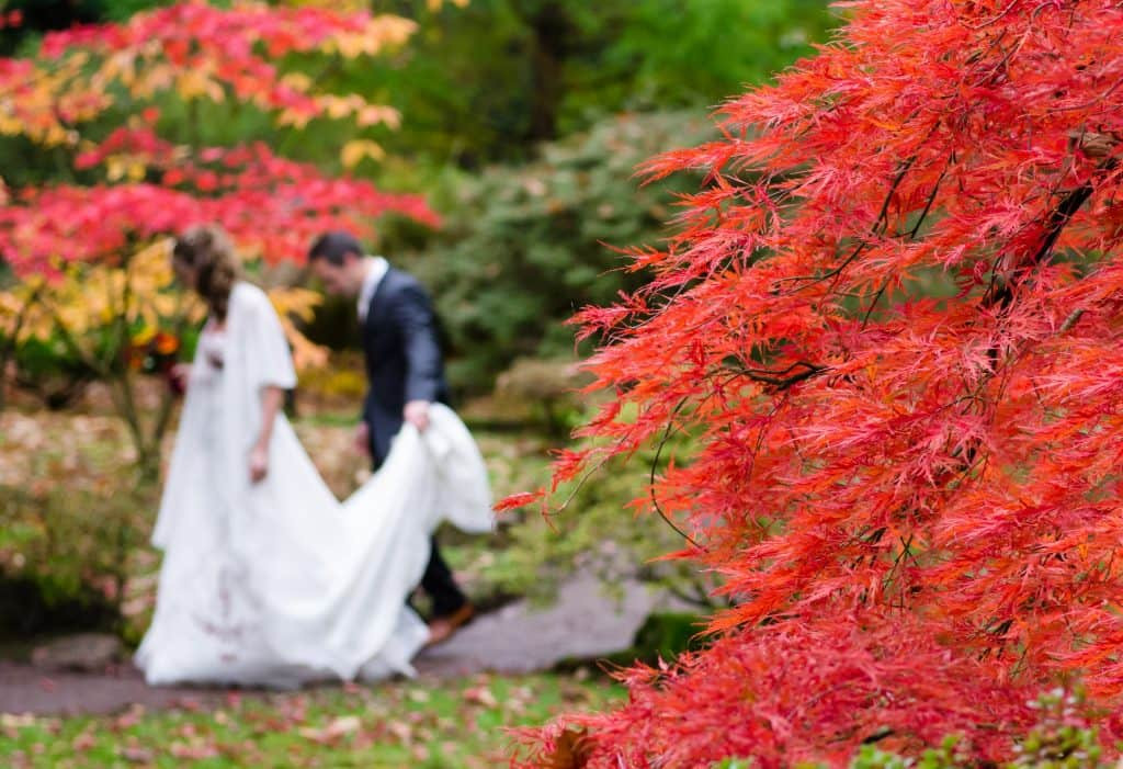 Hochzeit Im Herbst
 Hochzeit im Herbst