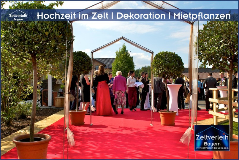 Hochzeit Im Zelt
 Mietpflanzen Stehtische Holzterrasse Dekozaun