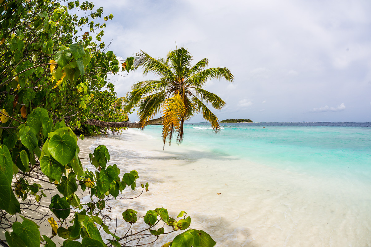 Hochzeit Malediven
 Hochzeit auf den Malediven Bandos Island Fotograf