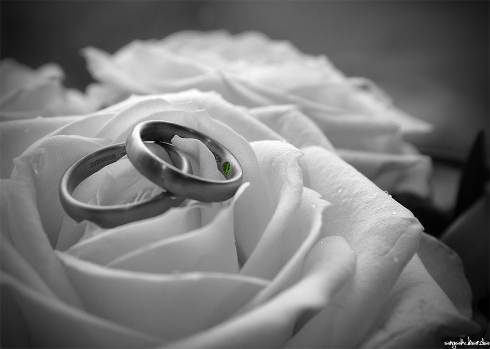 Hochzeit Ringe
 Just Married Ringe Foto & Bild