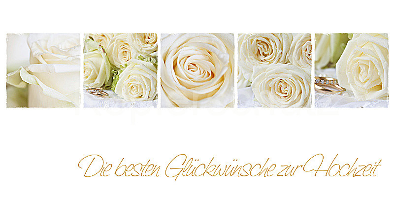Hochzeitskarten Glückwunschkarten
 Glückwünsche Hochzeit Weiße Rosen und Ringe