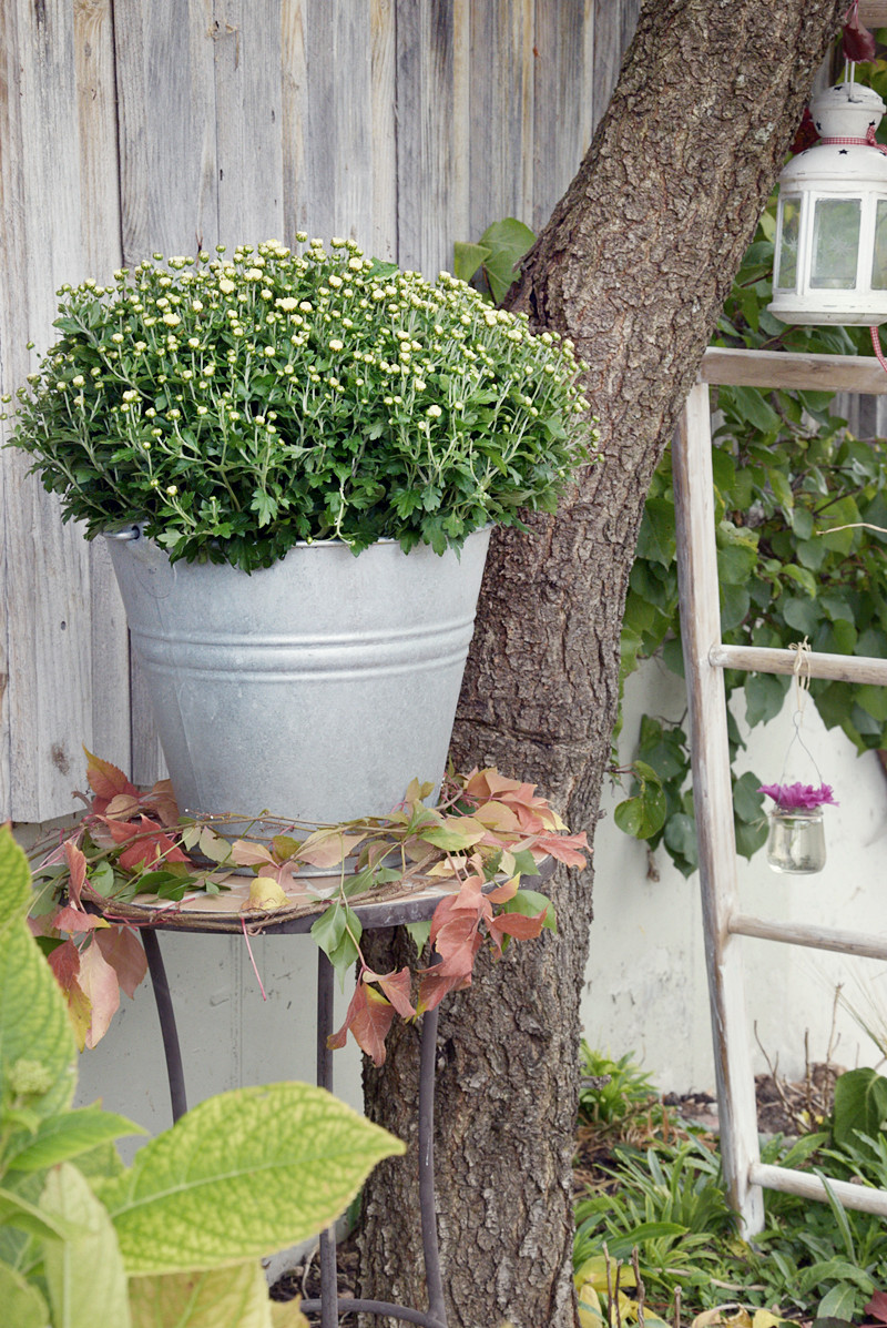 Hof Und Garten
 Herbstdekoration für Hof und Garten