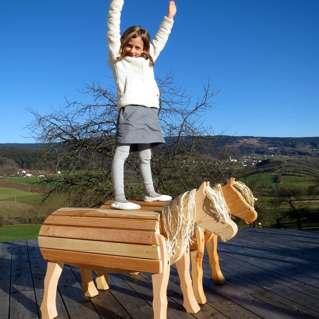 Holzpferd Garten
 HOLZPFERD BAYERWALD PONY VRONI Holzpony klein für Garten