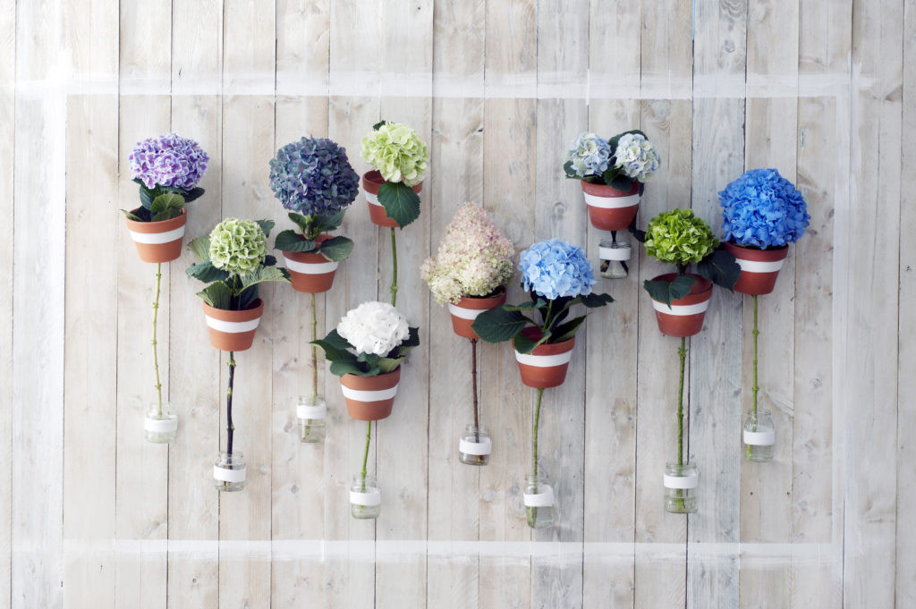 Hortensien Hochzeit
 Blumendeko Hochzeit So wird es romantisch und modern