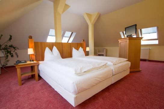 Hotel Zur Mühle Hoyerswerda
 Hotel Zur Mühle Hoyerswerda the best offers with Destinia