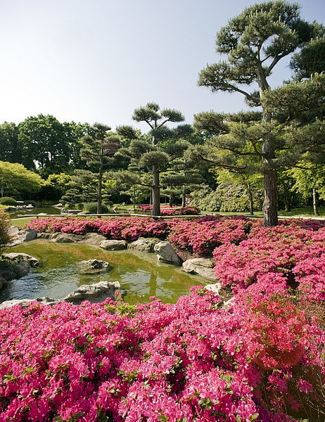 Japanischer Garten Düsseldorf
 Japanischer Garten Parks Sehenswürdigkeiten