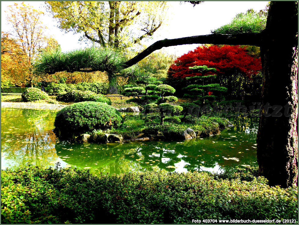 Japanischer Garten Düsseldorf
 Bilderbuch Düsseldorf Japanischer Garten