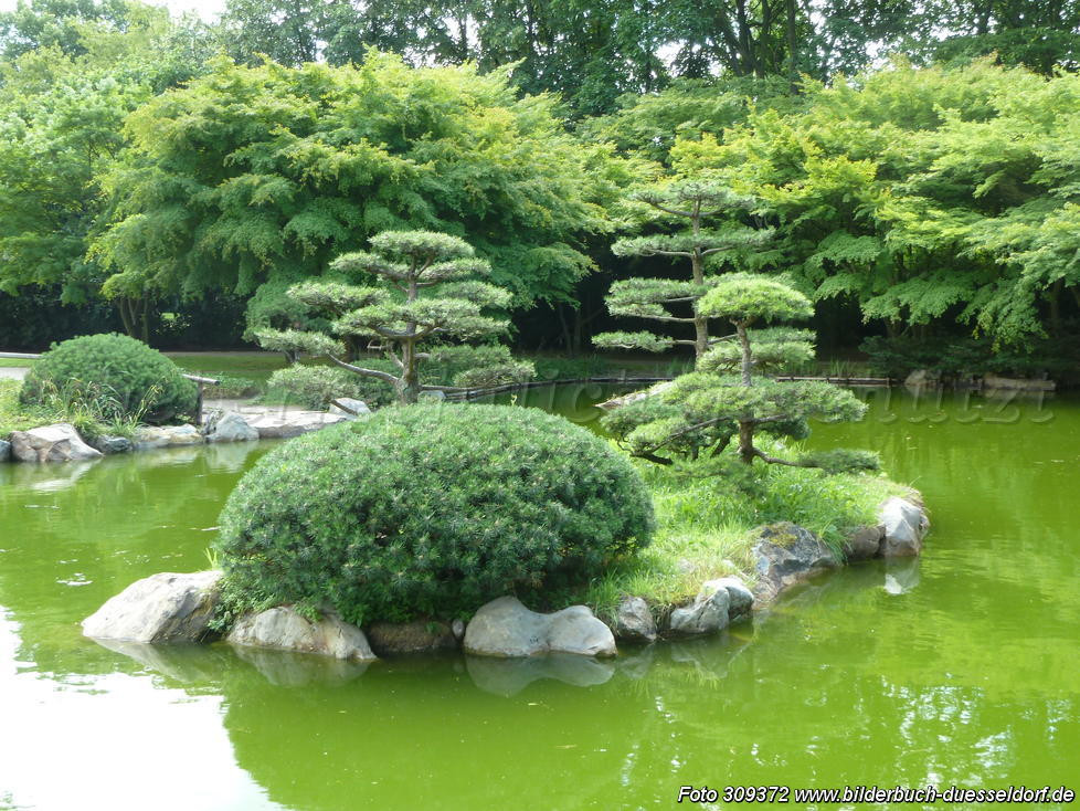 Japanischer Garten Düsseldorf
 Bilderbuch Düsseldorf Japanischer Garten Nordpark