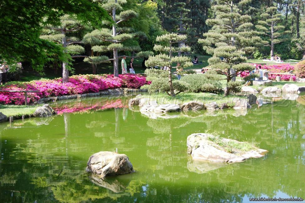 Japanischer Garten Düsseldorf
 Bilderbuch Düsseldorf Japanischer Garten