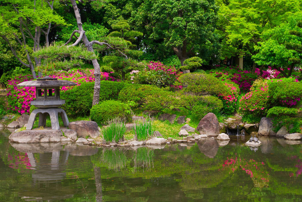 Japanischer Garten
 Japanischer Garten bei Ihrem Blockbohlenhaus