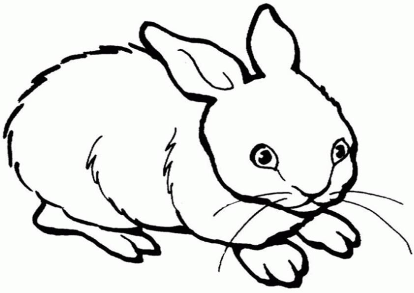 Kaninchen Ausmalbilder
 Kaninchen Malvorlagen