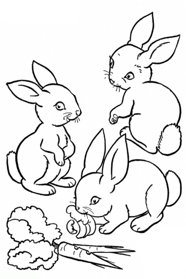 Kaninchen Ausmalbilder
 GRATIS AUSMALBILDER KANINCHEN Ausmalbilder
