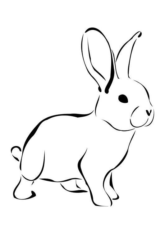 Kaninchen Ausmalbilder
 Malvorlage Kaninchen