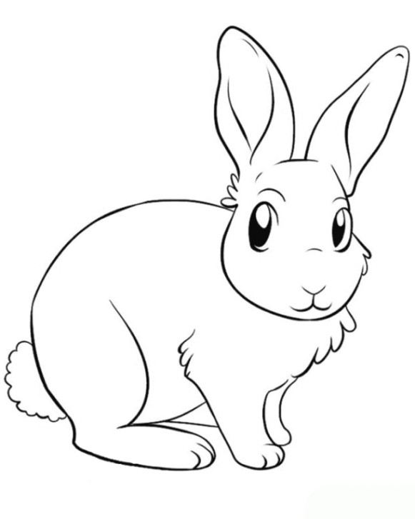 Kaninchen Ausmalbilder
 Ausmalbilder Tiere Zum Ausdrucken Malvorlagentv