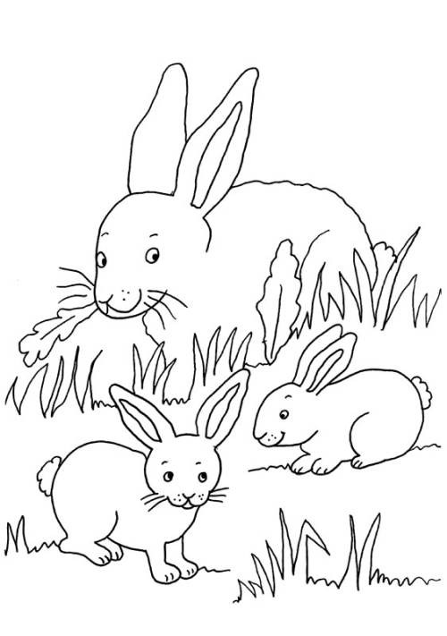 Kaninchen Ausmalbilder
 Kostenlose Malvorlage Kaninchen Kaninchenfamilie zum Ausmalen