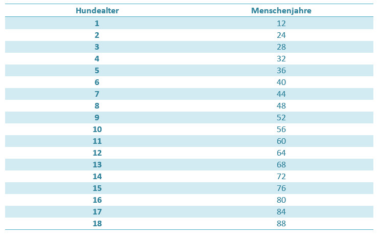 Katzenalter Tabelle
 Hundealter in Menschenjahre umrechnen mit Tabelle