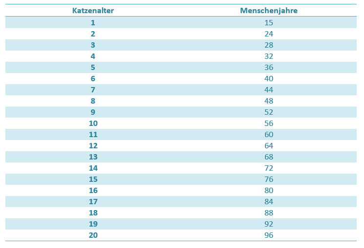 Katzenalter Tabelle
 Katzenalter in Menschenjahre umrechnen mit Tabelle