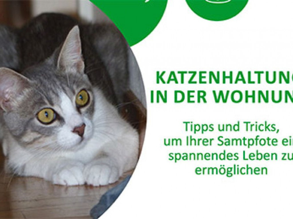 Katzenhaltung Wohnung
 Katzenhaltung in der Wohnung