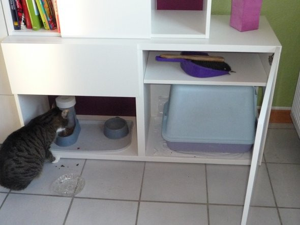 Katzenklo Schrank
 Tipp von melrose96 Katzenklo verstecken Zimmerschau