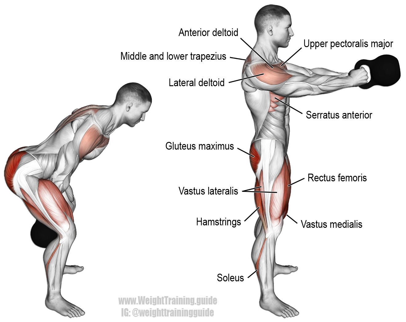 Kettlebell Swing
 Kettlebell swing exercise instructions and video