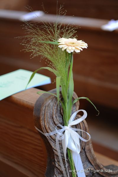 Kirchenbankschmuck Hochzeit
 Hochzeit Kirchenschmuck Gerbera creme