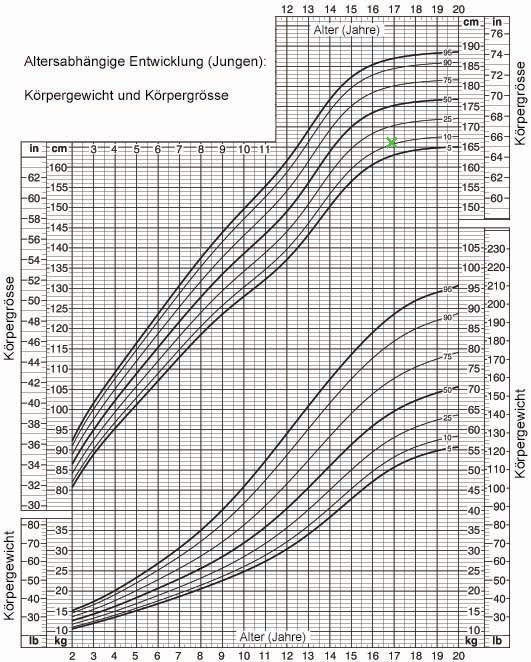 Kopfumfang Neugeborenes Tabelle
 Perzentile Körpergewicht und Körpergrösse Jungen