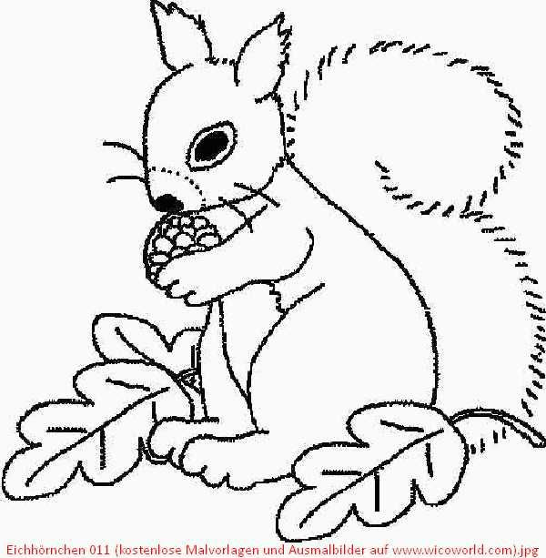 Kostenlose Ausmalbilder Herbst
 Eichhörnchen 011 kostenlose Malvorlagen und Ausmalbilder
