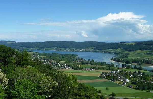 Landschaft Am Bodensee
 Gegen Wind am Bodensee › naturschutz