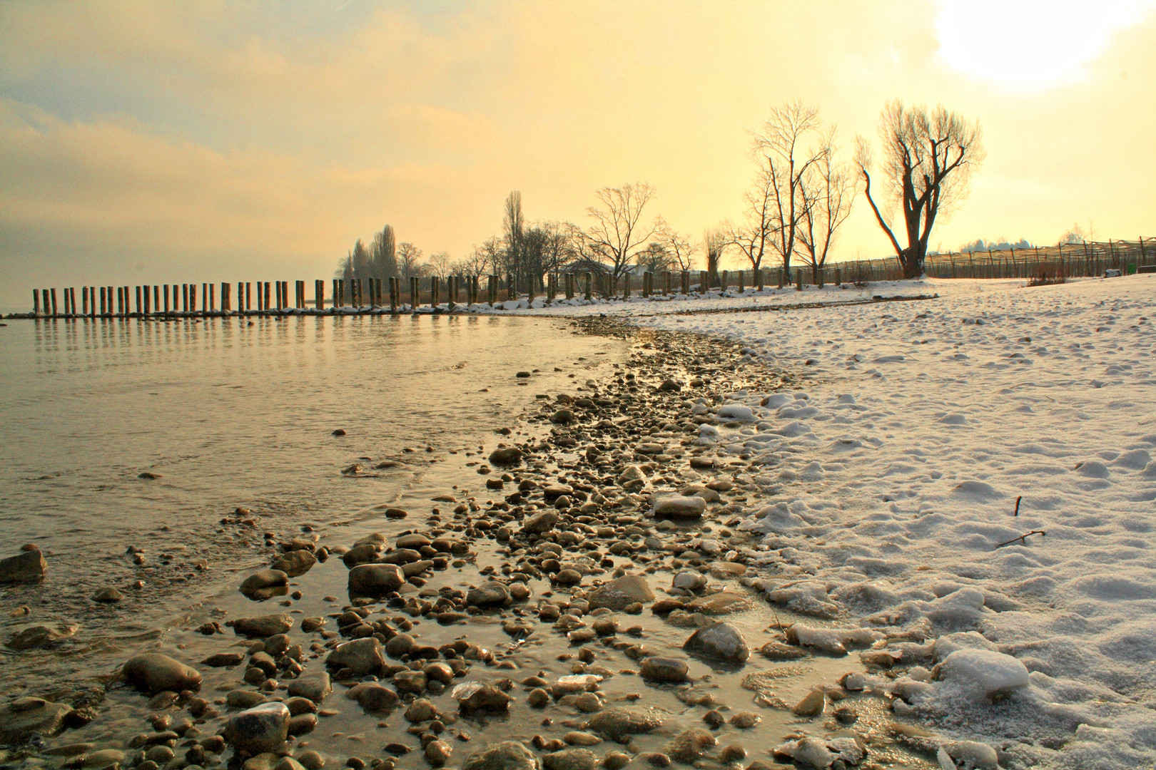 Landschaft Am Bodensee
 Winter am Bodensee Foto & Bild