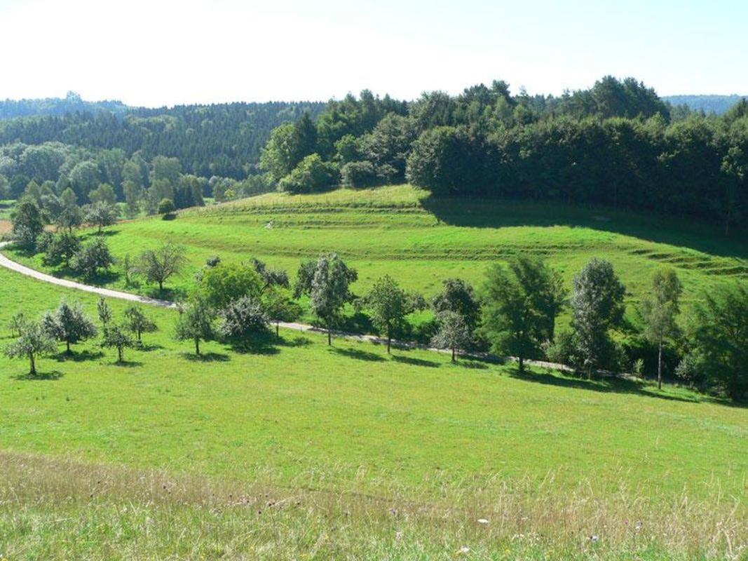 Landschaft Am Bodensee
 Bodenseekreis Landschaftserhaltungsverband