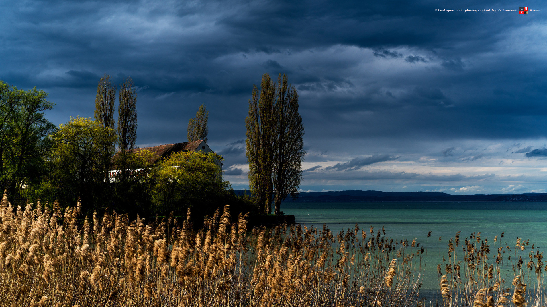 Landschaft Am Bodensee
 Landscape Münsterlingen am Bodensee Natur