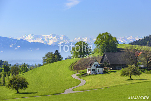 Landschaft Am Bodensee
 "idyllische Landschaft am Bodensee" zdjęć stockowych i