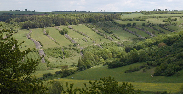 Landschaft In Baden
 Landschaft für Tiere und Pflanzen durchgängiger machen