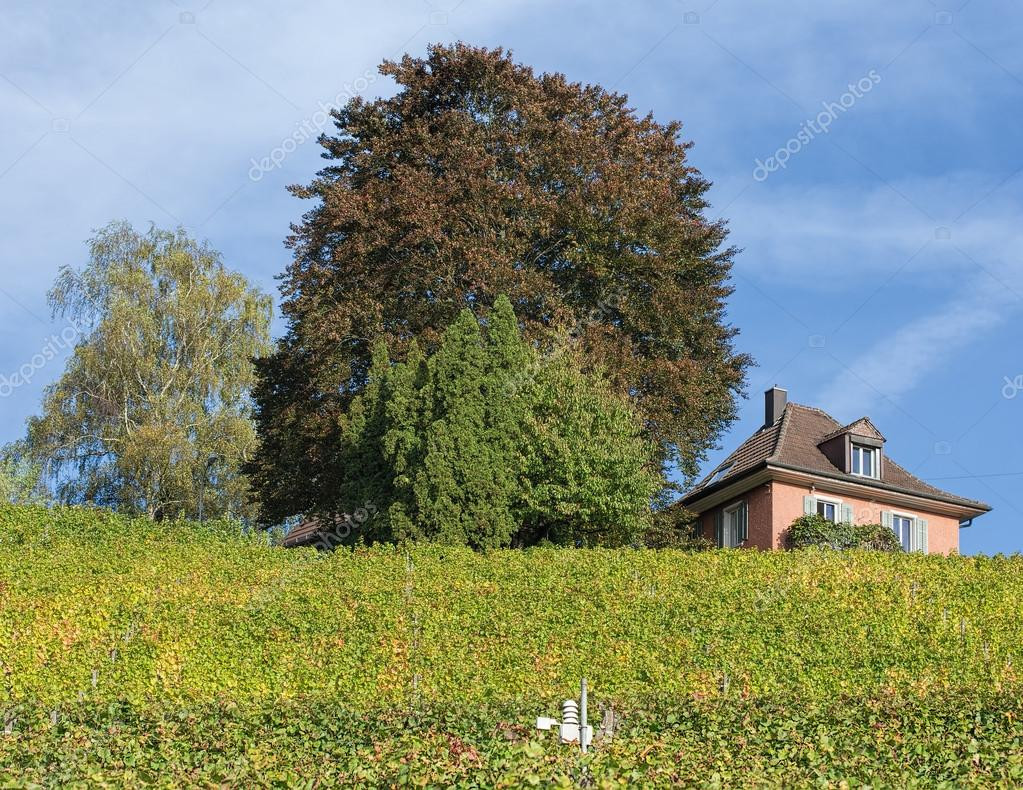 Landschaft In Baden
 Landschaft in Baden Schweiz — Redaktionelles Stockfoto