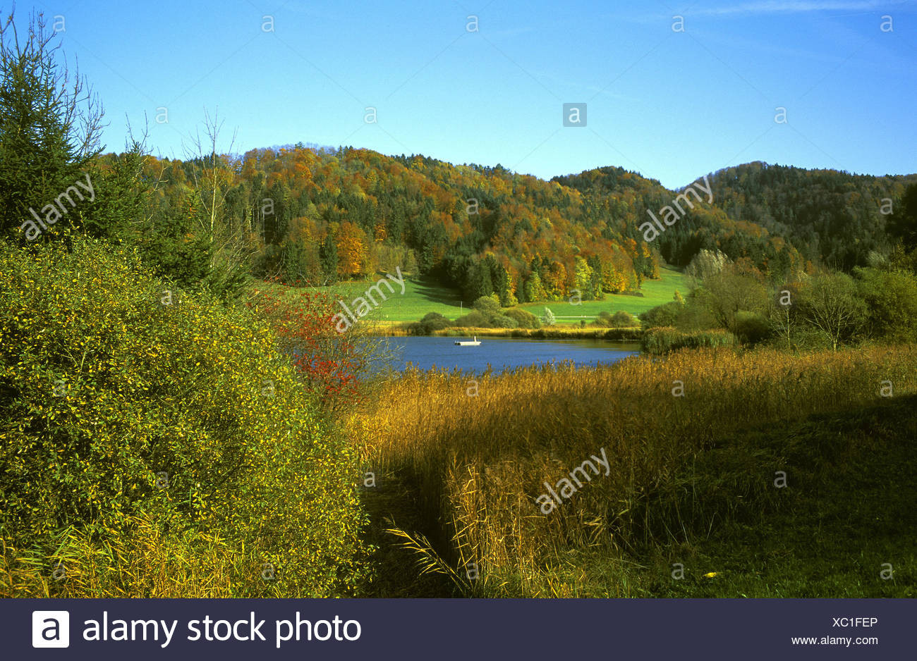 Landschaft In Baden
 Switzerland Europe Thurgau Scenery Landscape Stockfotos