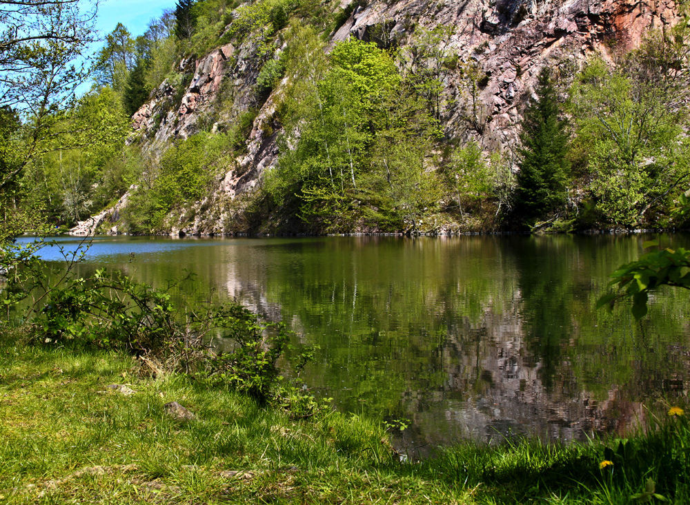 Landschaft In Baden
 Der Tripsee in Baden Baden Foto & Bild