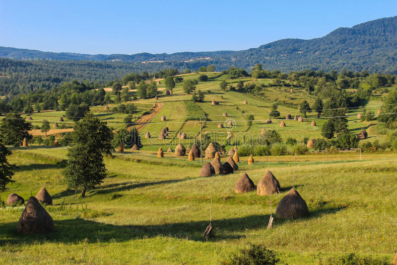 Landschaft In Rumänien
 Landschafts Landschaft In Maramures Rumänien Stockfoto