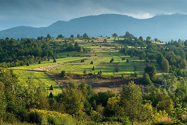 Landschaft In Rumänien
 Rumänien Romania aus Landschaft p fokus natur