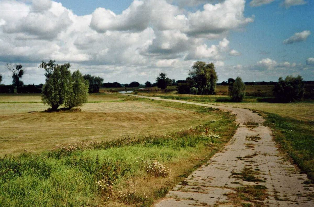 Landschaft In Sachsen Anhalt
 Garbe Landschaft –