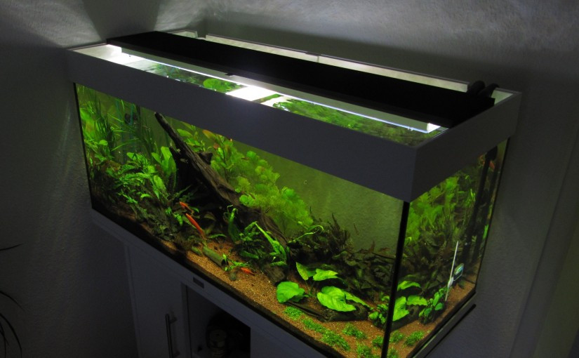 Led Aquarium Beleuchtung
 Aquarium LED Beleuchtung selber bauen Schullebernd s